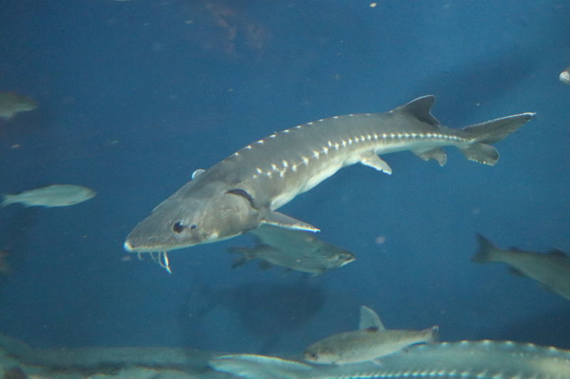 f:id:itsuwalove777:20210306134311j:plain