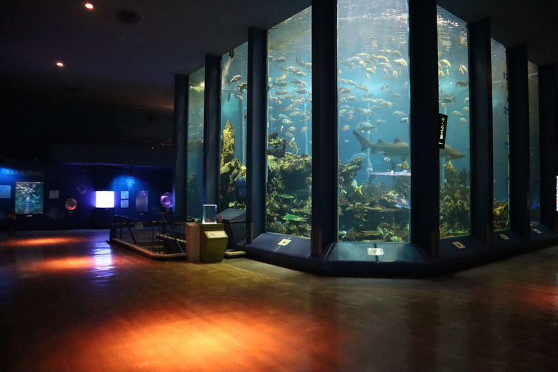 f:id:itsuwalove777:20210309012030j:plain