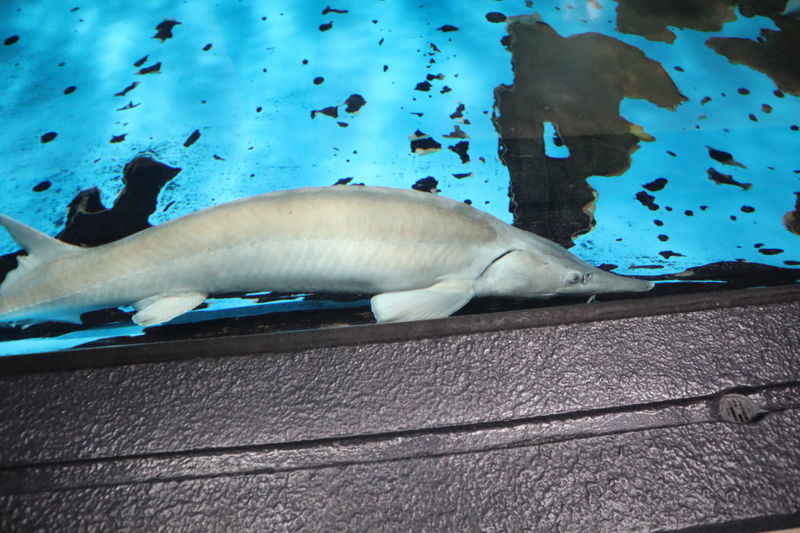 f:id:itsuwalove777:20210315013739j:plain