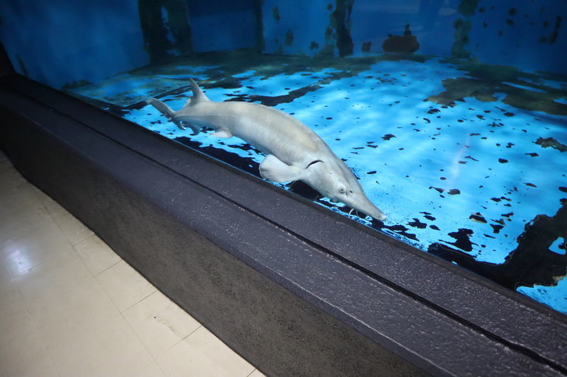 f:id:itsuwalove777:20210315013800j:plain