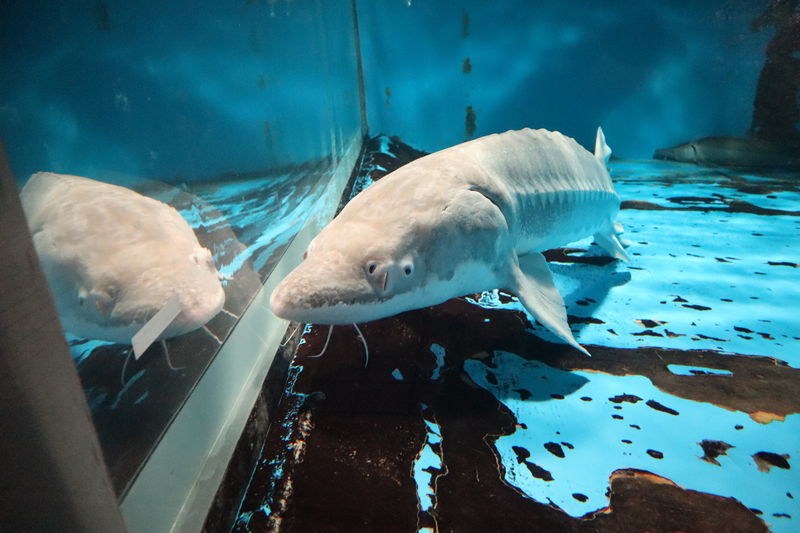 f:id:itsuwalove777:20210315013914j:plain