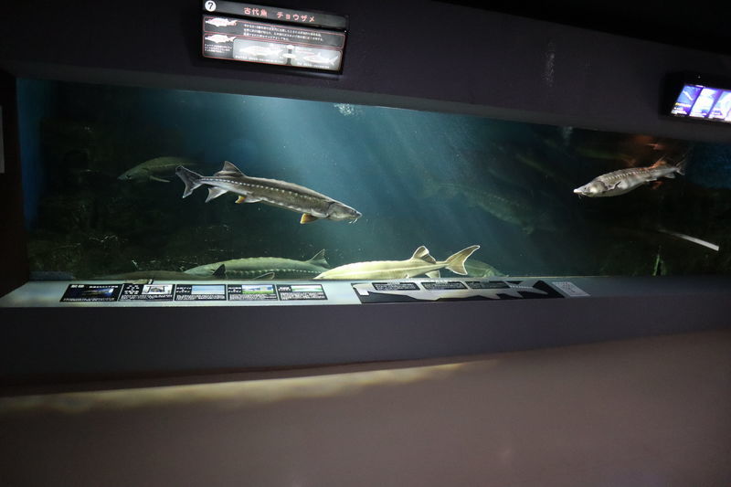 f:id:itsuwalove777:20210315014141j:plain