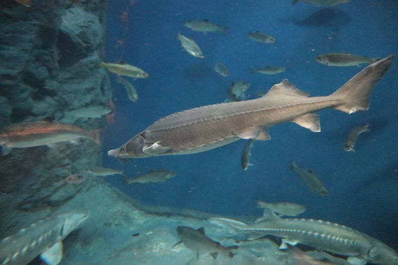 f:id:itsuwalove777:20210315014809j:plain