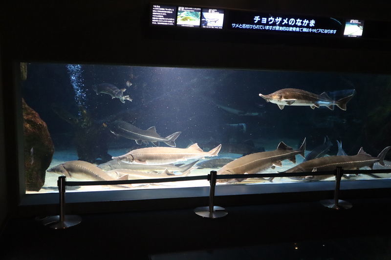 f:id:itsuwalove777:20210315015020j:plain