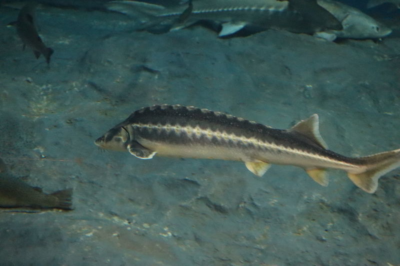 f:id:itsuwalove777:20210315015427j:plain