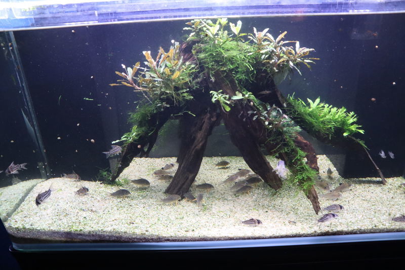 f:id:itsuwalove777:20210315015953j:plain