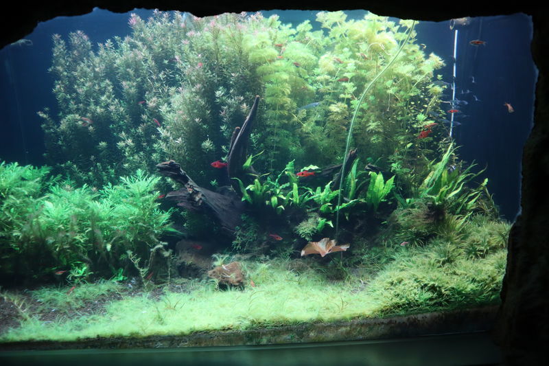 f:id:itsuwalove777:20210315020650j:plain