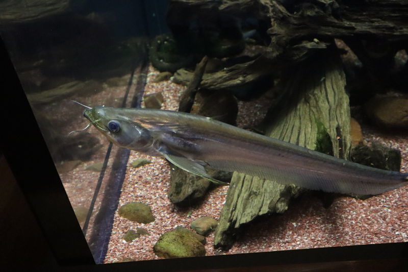 f:id:itsuwalove777:20210315020830j:plain