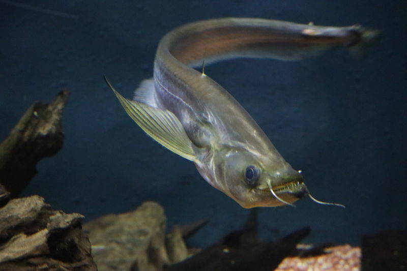 f:id:itsuwalove777:20210315020855j:plain