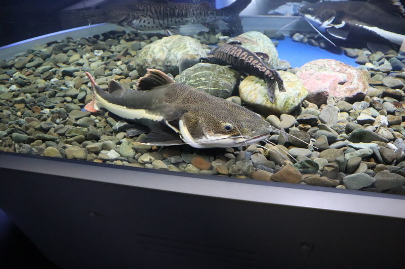 f:id:itsuwalove777:20210315021142j:plain