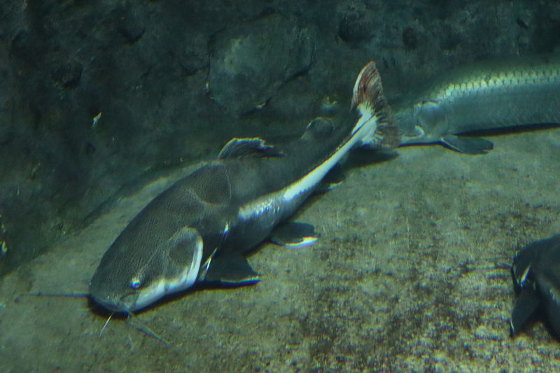 f:id:itsuwalove777:20210315021155j:plain