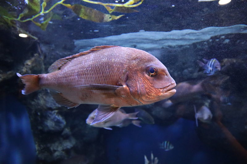 f:id:itsuwalove777:20210315123832j:plain