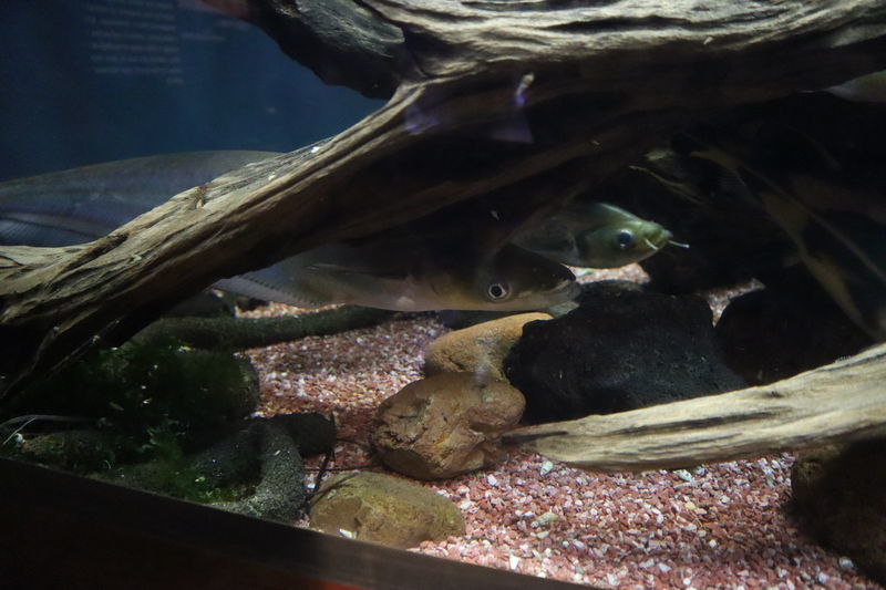 f:id:itsuwalove777:20210315221702j:plain