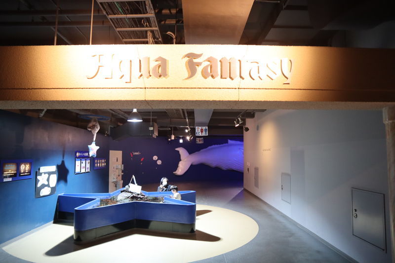 f:id:itsuwalove777:20210315222912j:plain