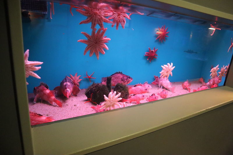 f:id:itsuwalove777:20210315223532j:plain