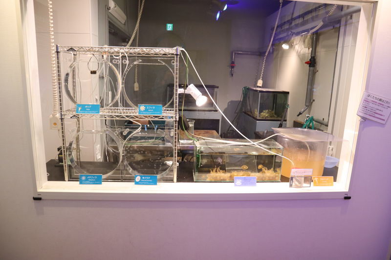 f:id:itsuwalove777:20210315224400j:plain