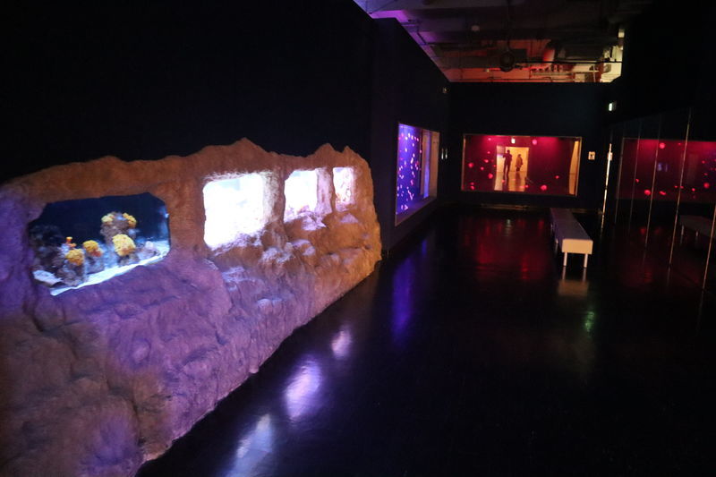 f:id:itsuwalove777:20210315224442j:plain