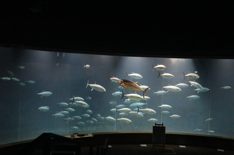 f:id:itsuwalove777:20210323082755j:plain