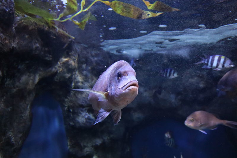 f:id:itsuwalove777:20210323124157j:plain