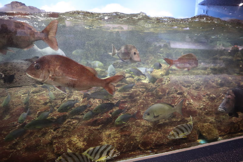 f:id:itsuwalove777:20210323124257j:plain