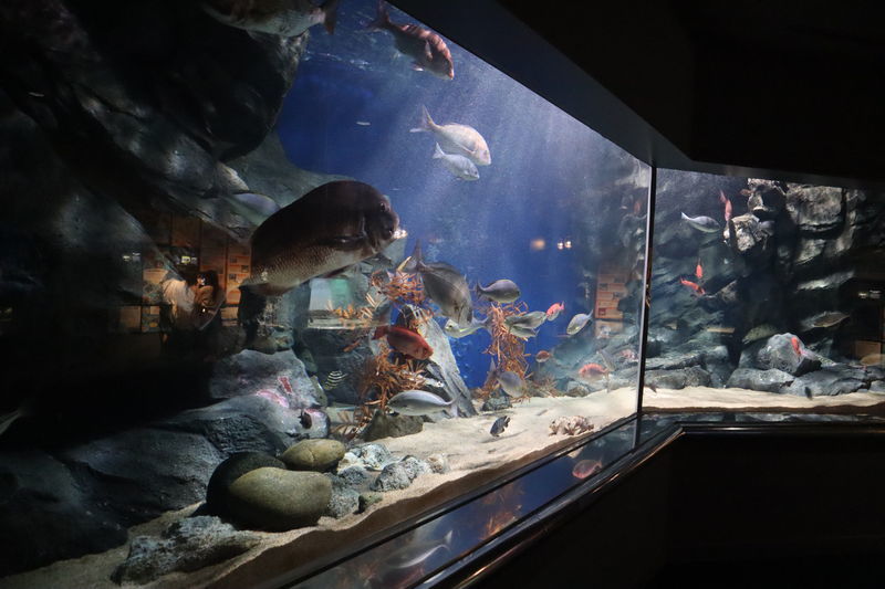 f:id:itsuwalove777:20210323192600j:plain