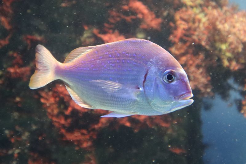 f:id:itsuwalove777:20210323193427j:plain