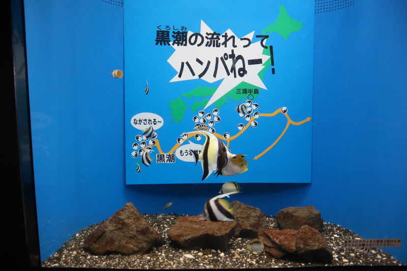 f:id:itsuwalove777:20210325071251j:plain