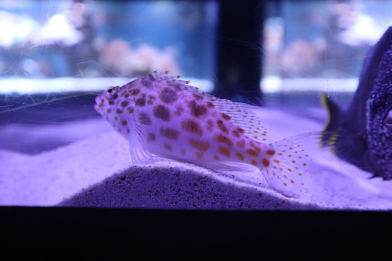 f:id:itsuwalove777:20210325072206j:plain