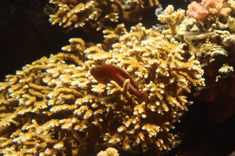 f:id:itsuwalove777:20210327161453j:plain