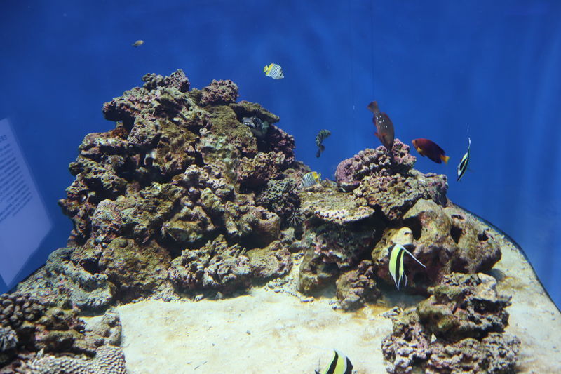 f:id:itsuwalove777:20210327161538j:plain