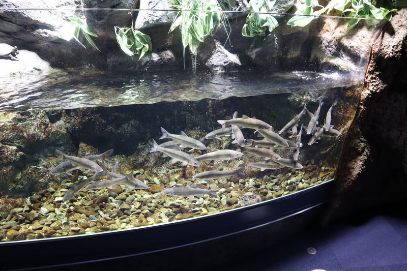 f:id:itsuwalove777:20210403142900j:plain