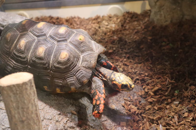 f:id:itsuwalove777:20210408200607j:plain