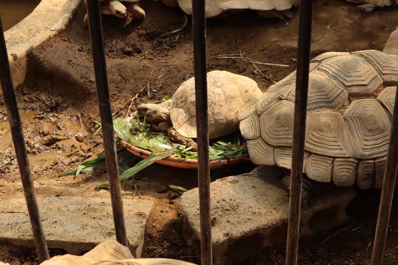 f:id:itsuwalove777:20210408200902j:plain