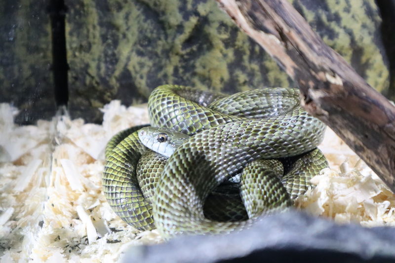 f:id:itsuwalove777:20210411155423j:plain