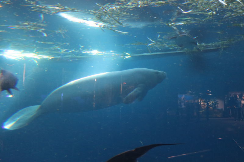 f:id:itsuwalove777:20210515165854j:plain