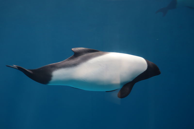 f:id:itsuwalove777:20210515180217j:plain