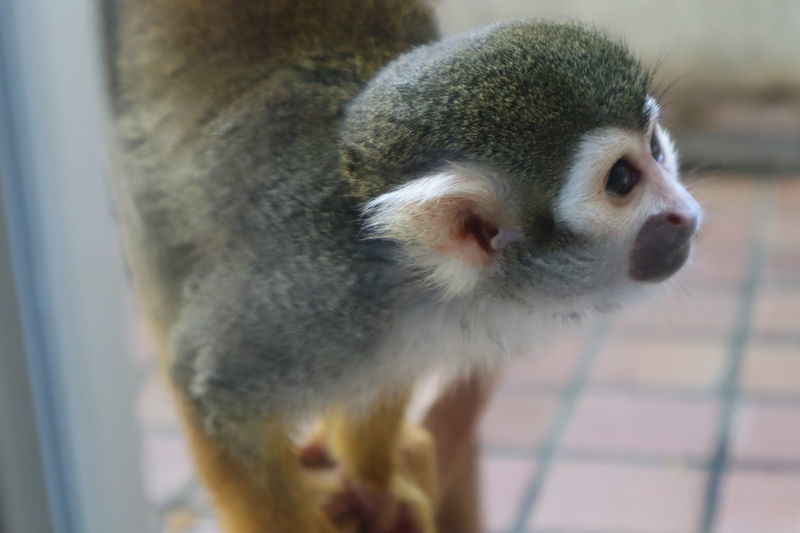 f:id:itsuwalove777:20210517233157j:plain