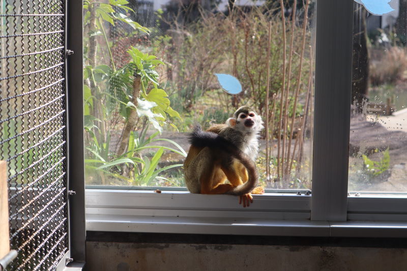 f:id:itsuwalove777:20210517233306j:plain