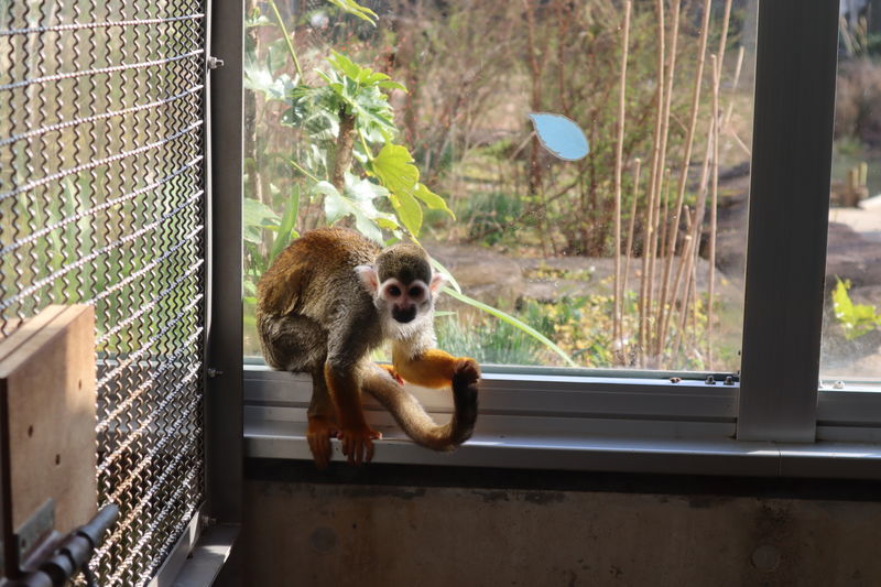 f:id:itsuwalove777:20210517233406j:plain