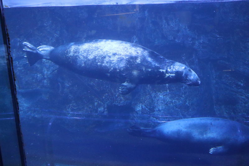 f:id:itsuwalove777:20210518234352j:plain