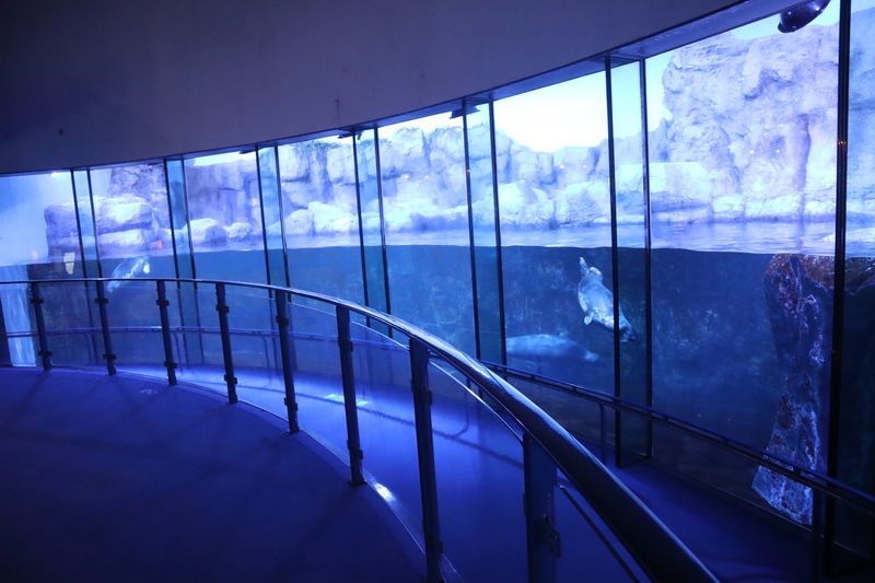 f:id:itsuwalove777:20210518234521j:plain