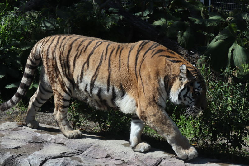 f:id:itsuwalove777:20210519130822j:plain