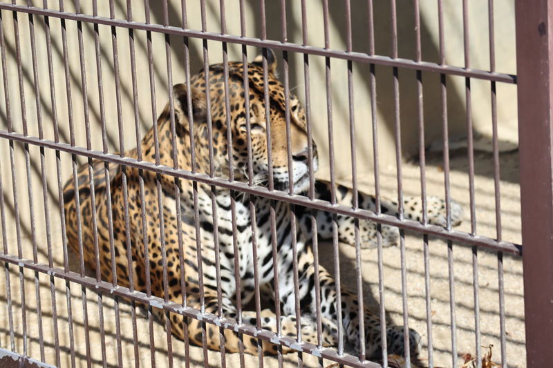 f:id:itsuwalove777:20210519132859j:plain