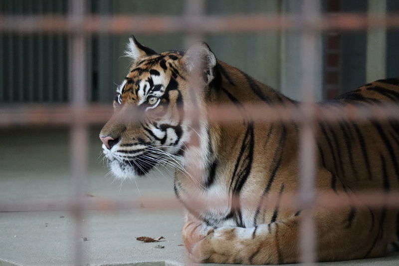 f:id:itsuwalove777:20210519134200j:plain