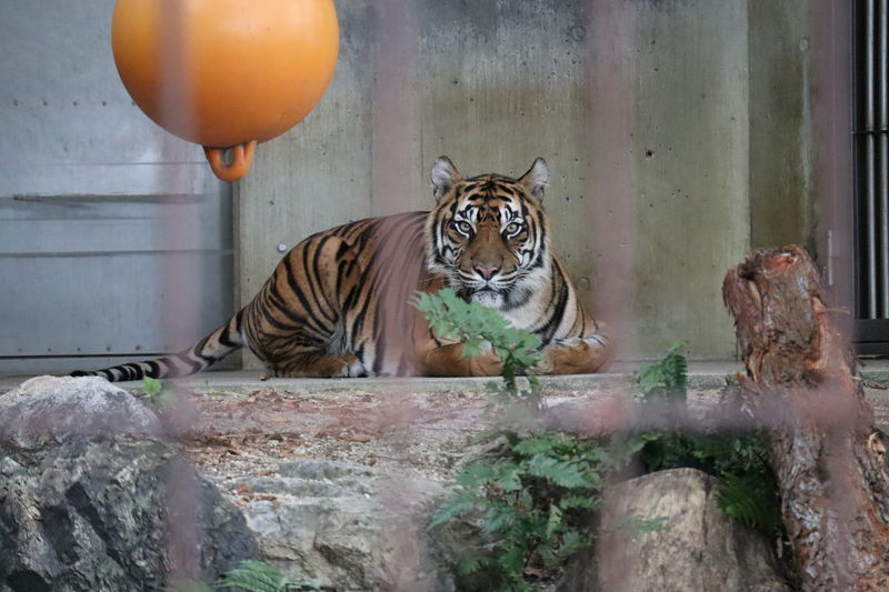 f:id:itsuwalove777:20210519134324j:plain