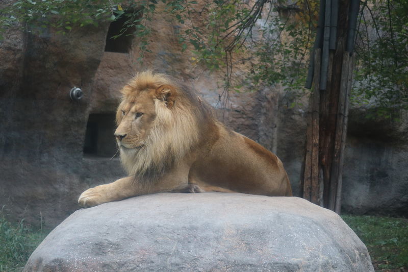 f:id:itsuwalove777:20210519184107j:plain