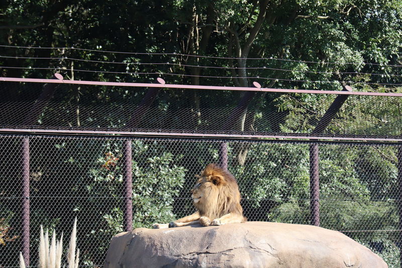 f:id:itsuwalove777:20210519184246j:plain