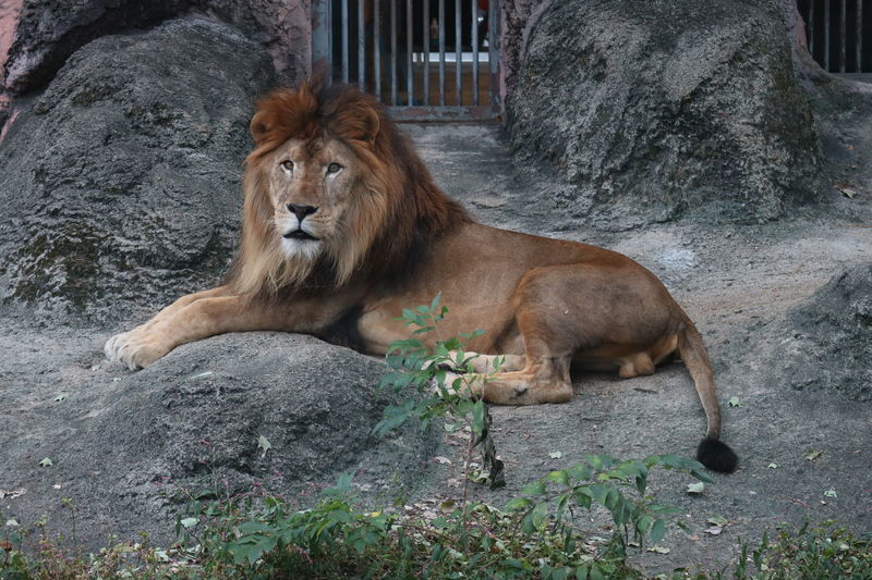 f:id:itsuwalove777:20210519184328j:plain