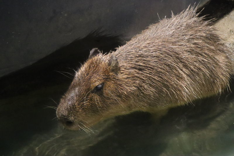 f:id:itsuwalove777:20210519191220j:plain