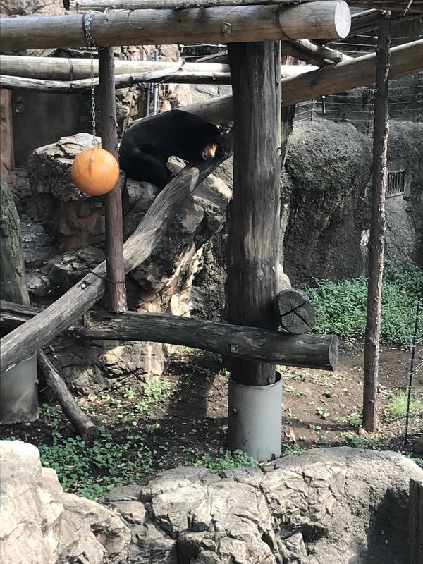 f:id:itsuwalove777:20210521062609j:plain